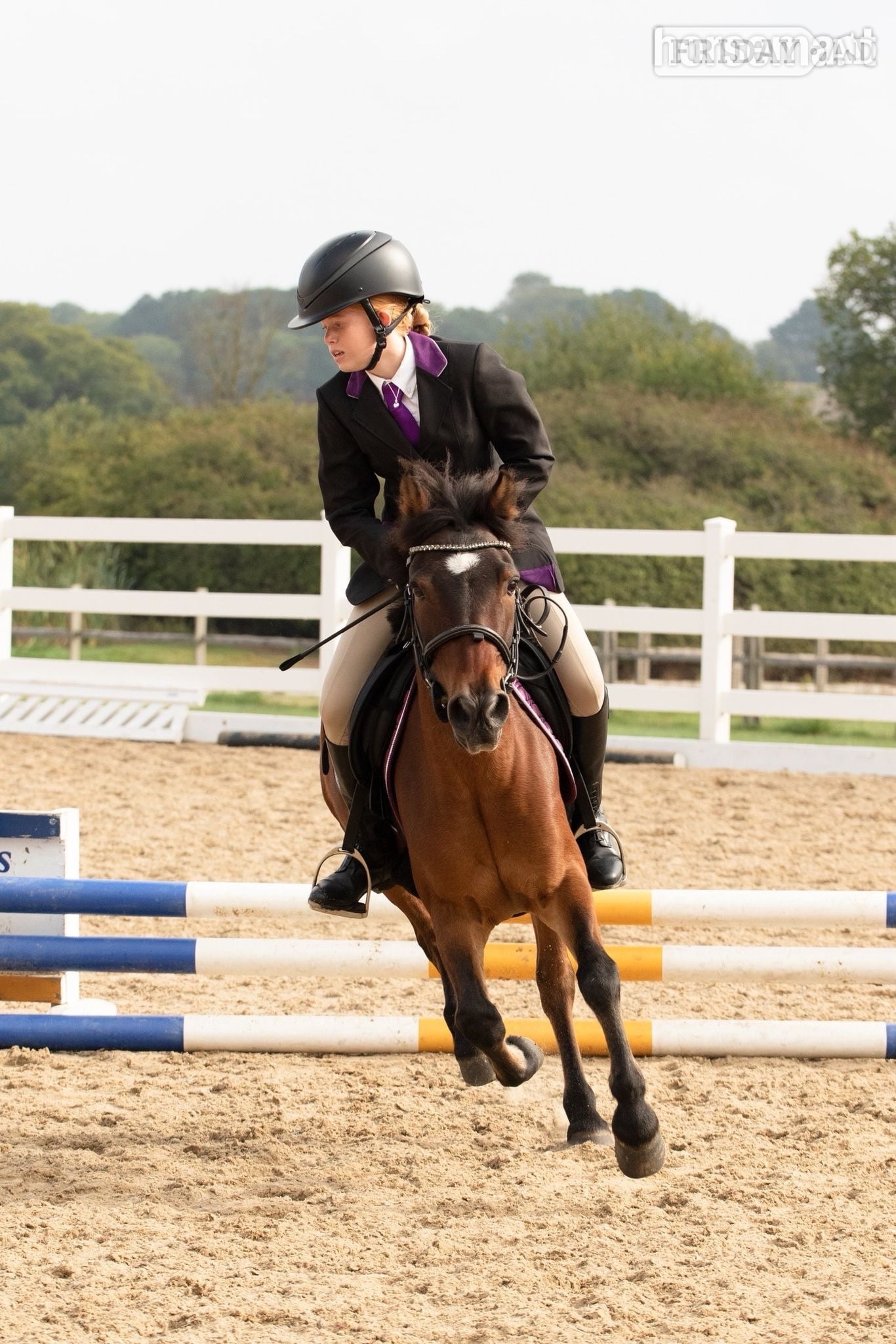 Westerham "Barney" Bay Gelding All Rounder