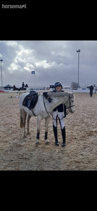 "Brockabye eowyn " Grey Mare Show Jumper