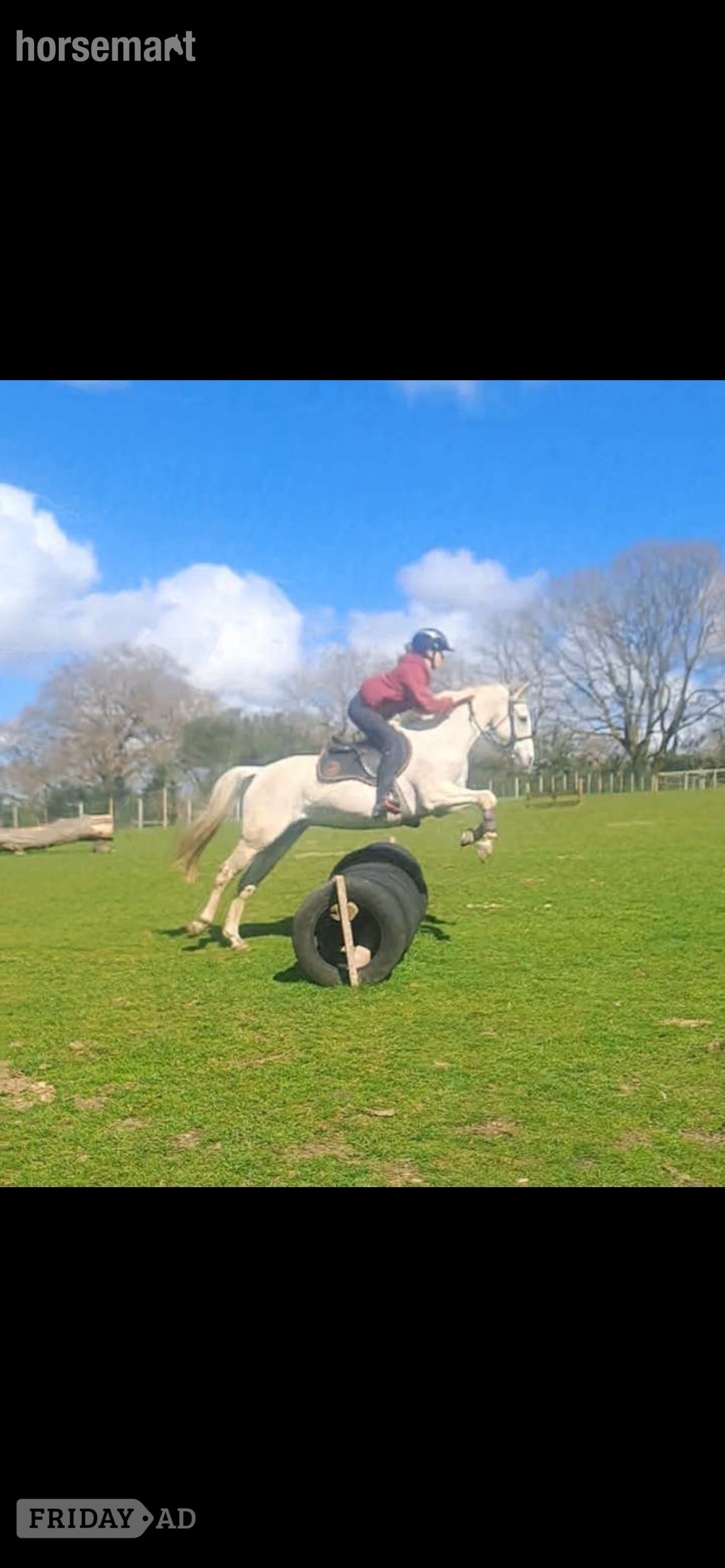 Caerphilly "Brockabye eowyn " Grey Mare Show Jumper