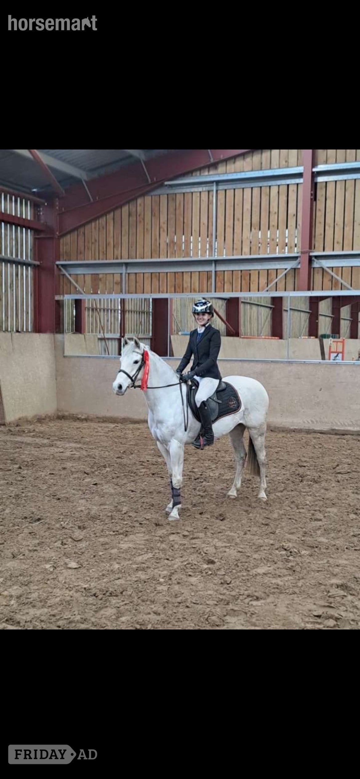 "Brockabye eowyn " Grey Mare Show Jumper