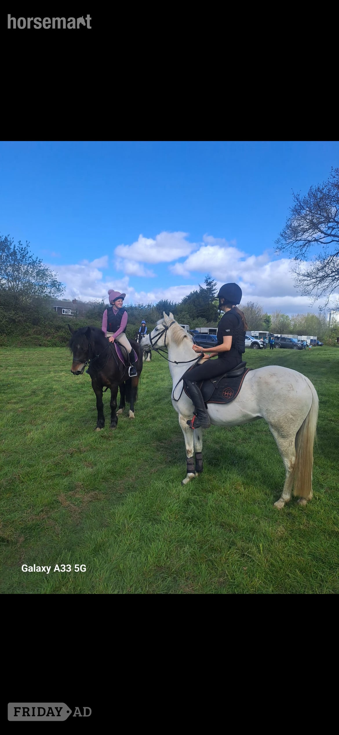 "Brockabye eowyn " Grey Mare Show Jumper - Horses in Caerphilly