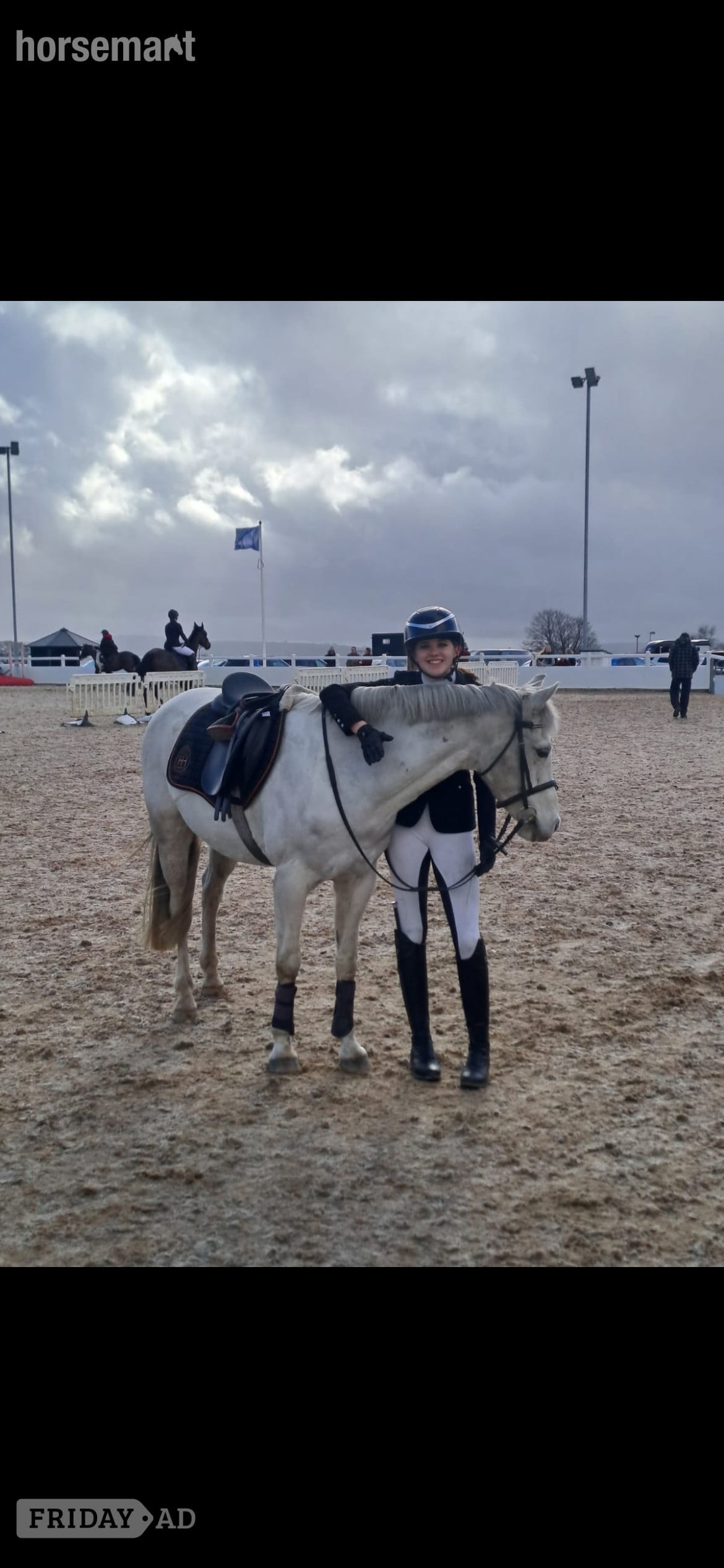 "Brockabye eowyn " Grey Mare Show Jumper in Caerphilly