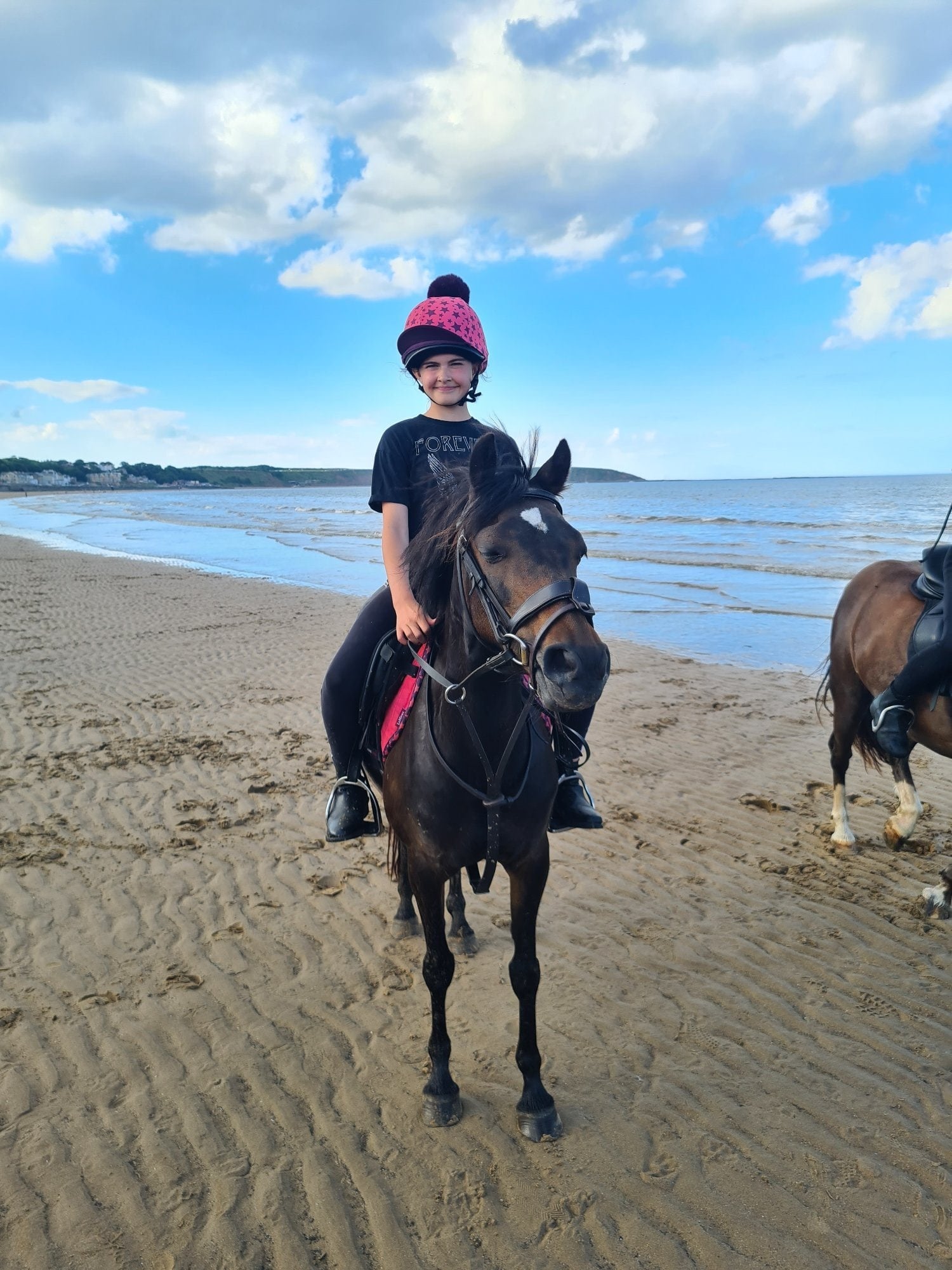 "Bambi" Bay Mare Pony Club Pony