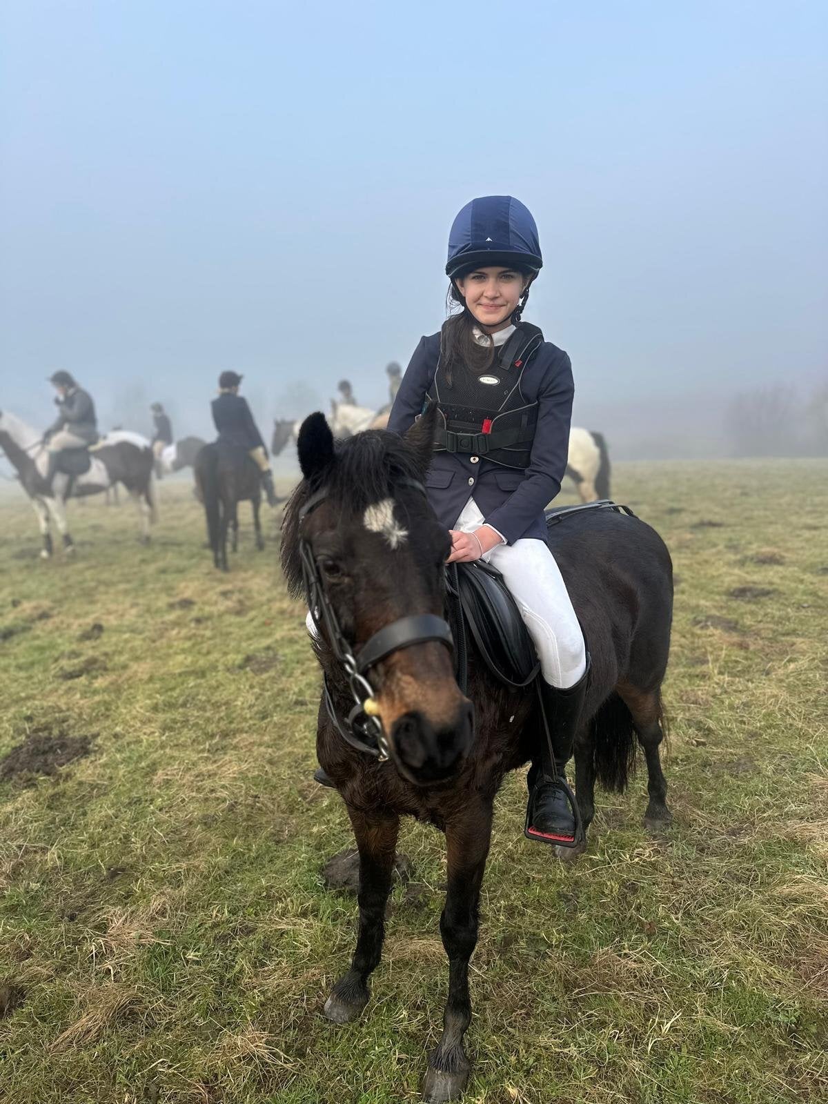 "Bambi" Bay Mare Pony Club Pony - Horses
