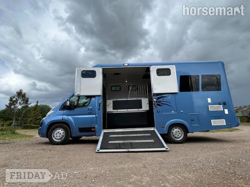 Equimark  Citroen Horsebox - Trailers & Horseboxes in Godalming