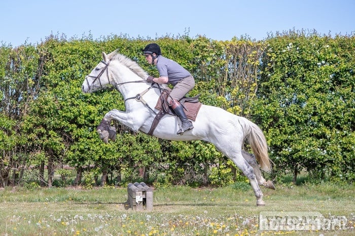 "Alf"  Gelding All Rounder