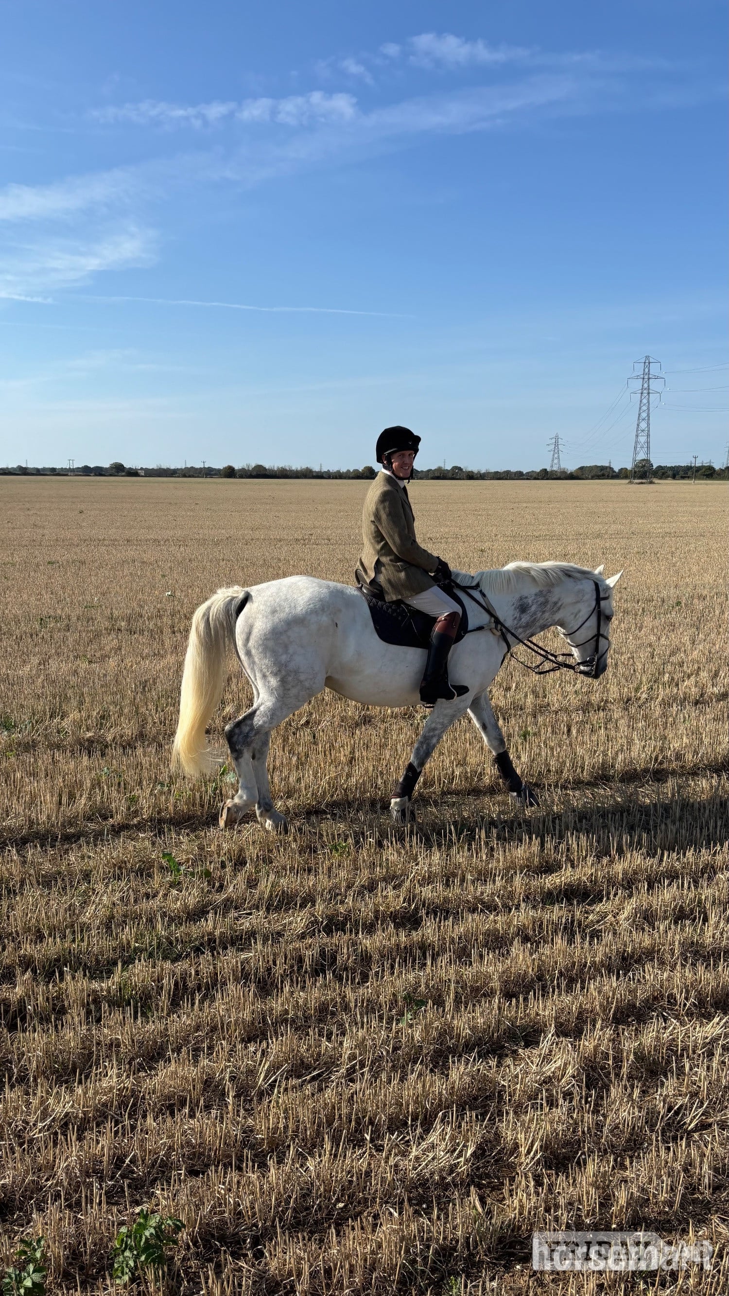 Sudbury "Alf"  Gelding All Rounder