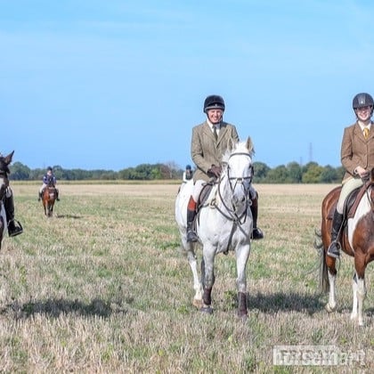 "Alf"  Gelding All Rounder in Sudbury