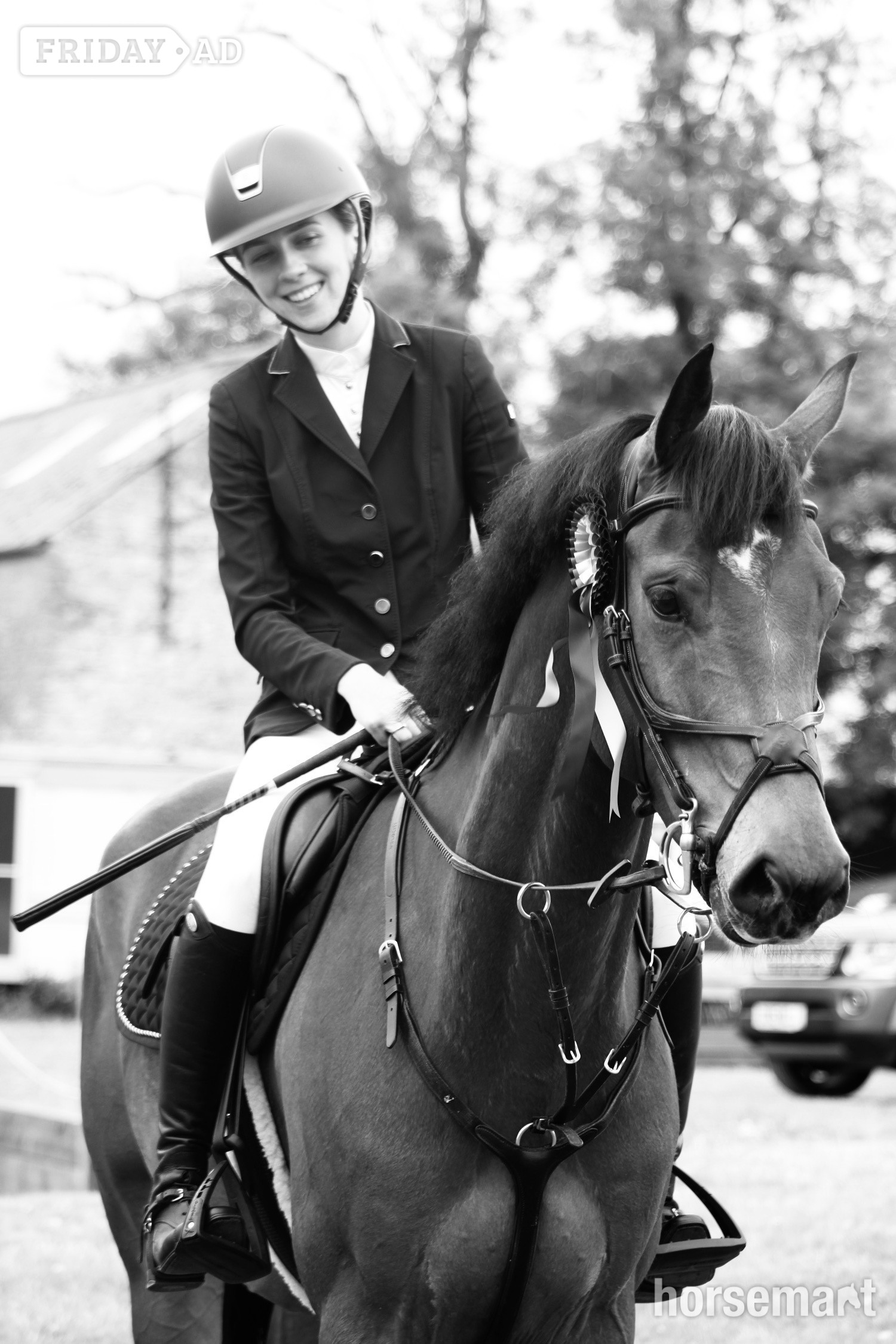 "Ballyscully Boy" Bay Gelding Eventer - Horses in Darrington