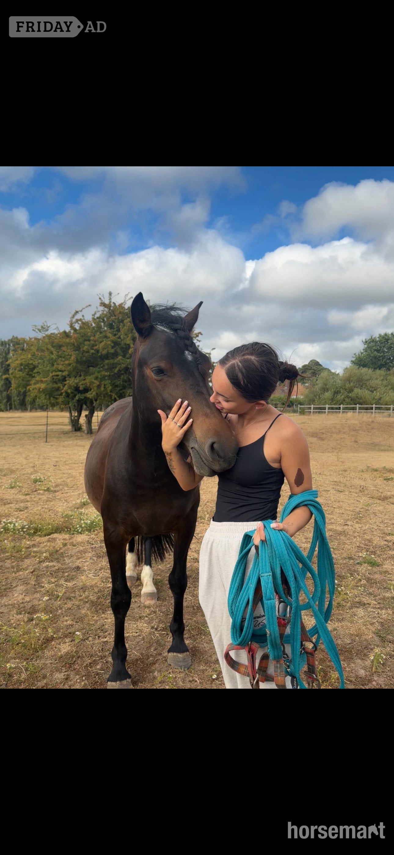 "Bella" Bay Mare Project Horse - Horses