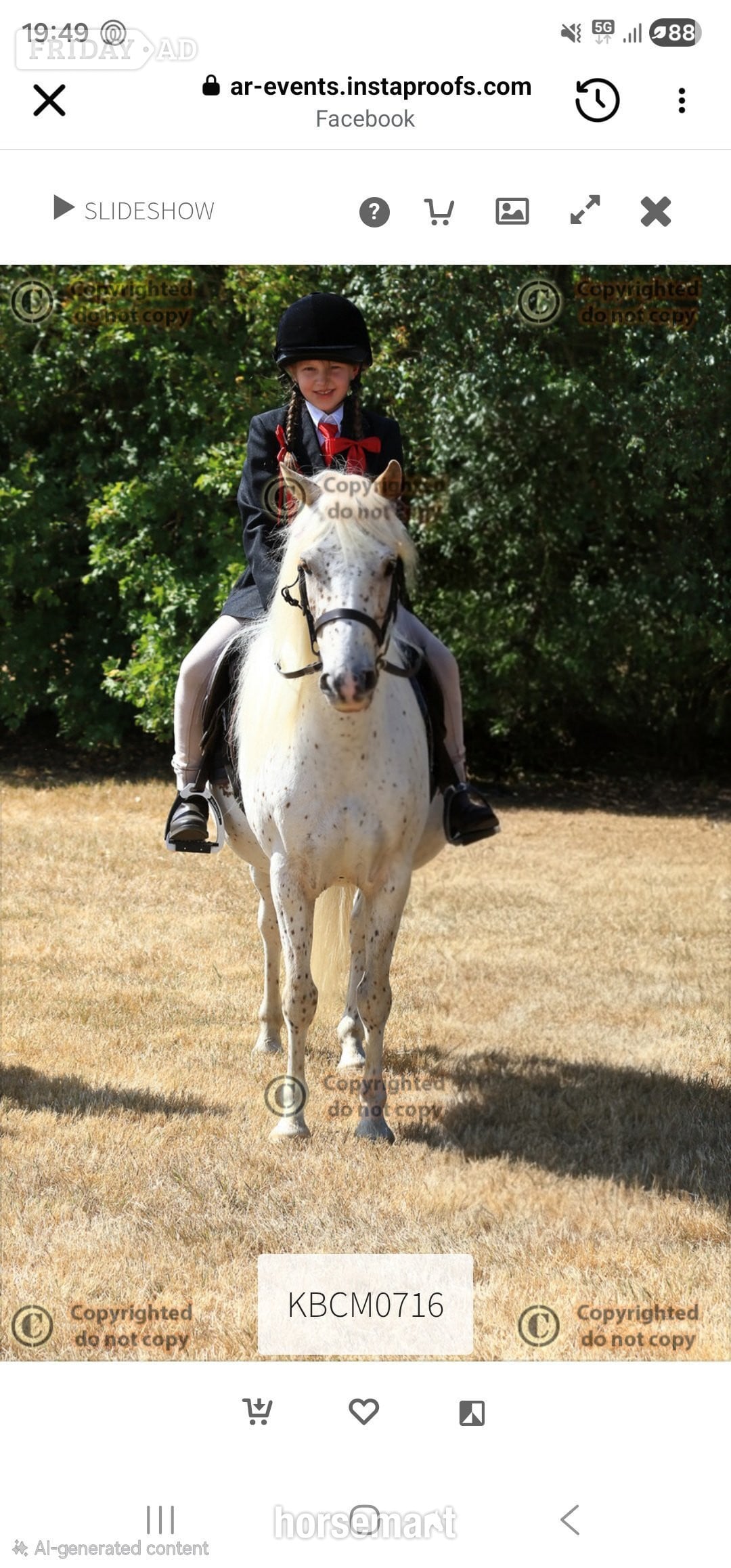 "Nattadon Celebration" Leopard Spot Gelding Pony Club Pony - Horses