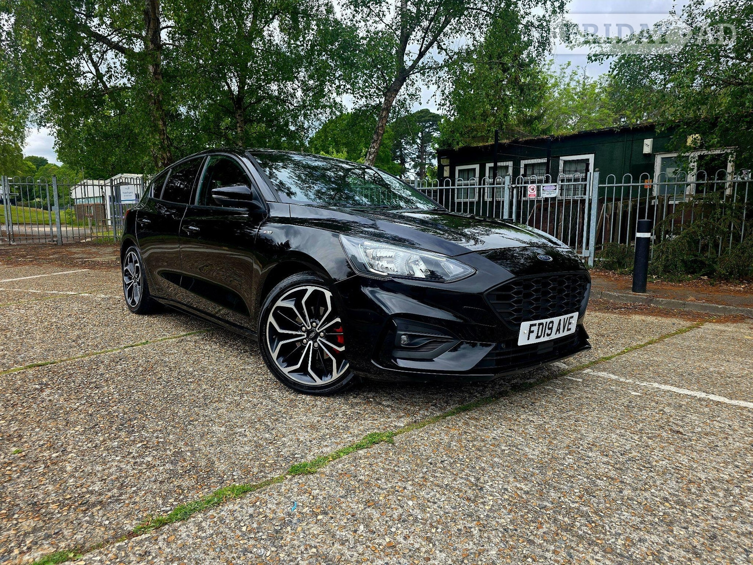 Ford Focus 2019 in Cranbrook