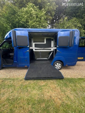Stephex STX 2 Horse Renault Horsebox