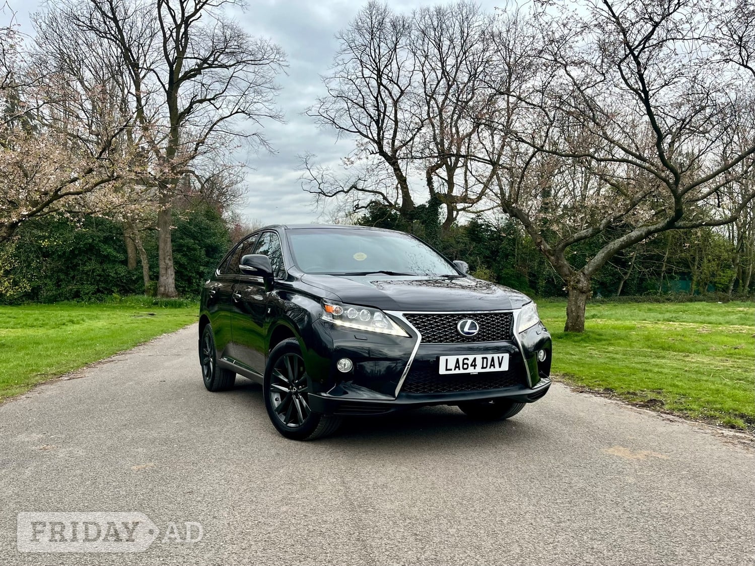 [ berth ]Lexus RX