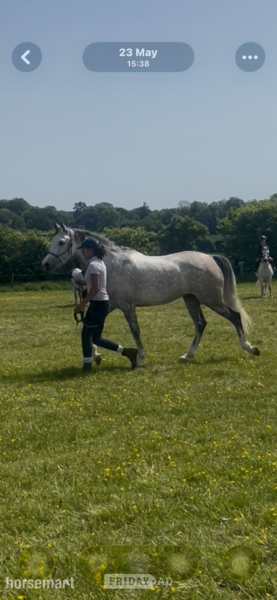 "Flashy ladies prospect" Dapple Grey Mare All Rounder