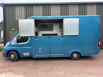 Foxy Stallion Lux Citroen Horsebox