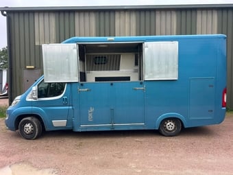 Foxy Stallion Lux Citroen Horsebox