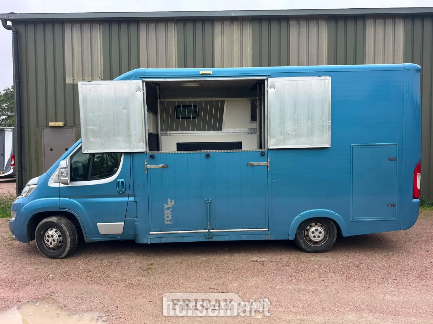 Foxy Stallion Lux Citroen Horsebox in Warninglid