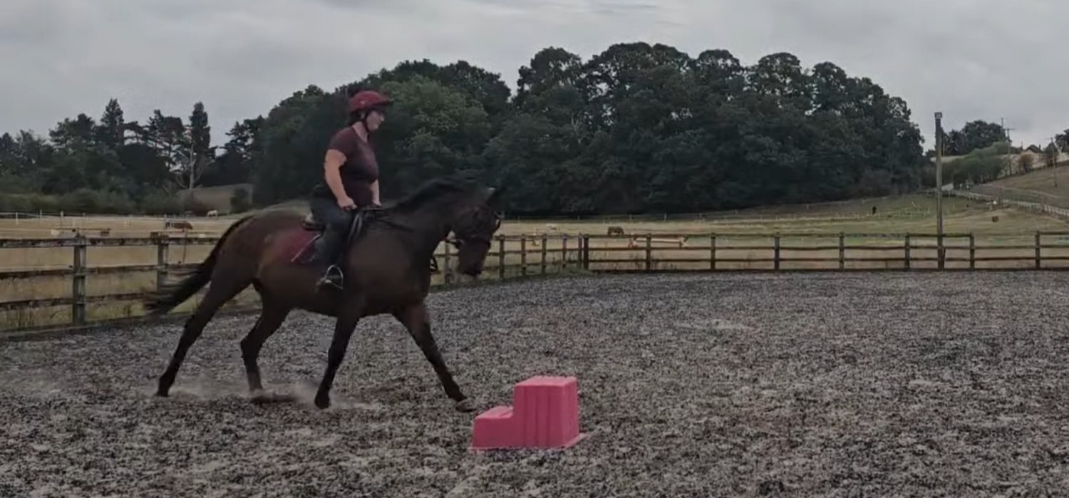 "Star" Bay Mare All Rounder - Horses in Cuddington Heath