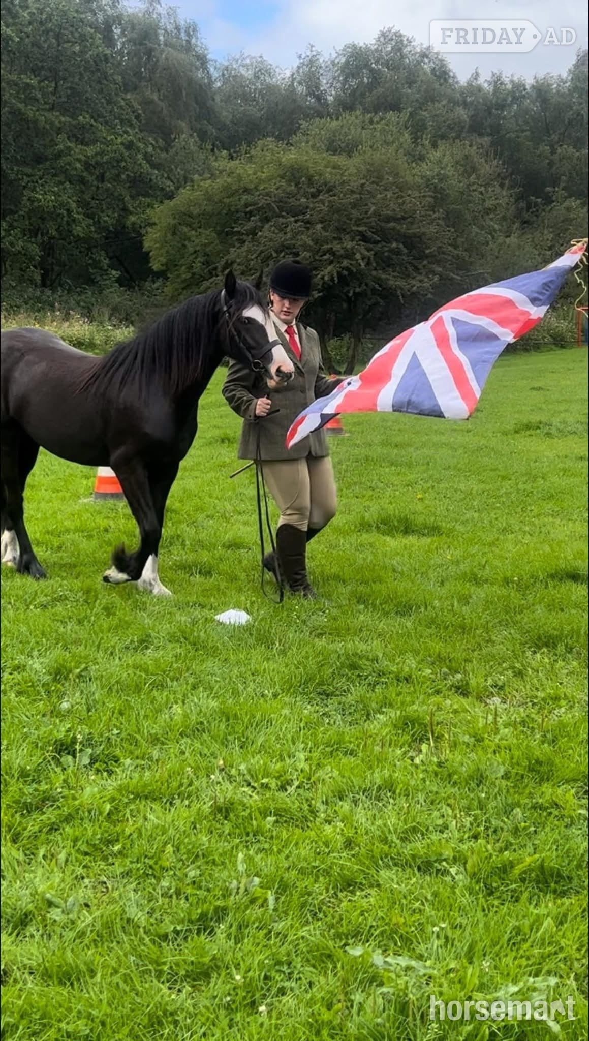 "Willow " Black Mare Pony Club Pony