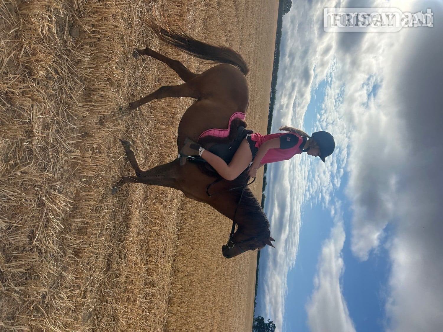 "Image " Chestnut Mare Project Horse in Leominster