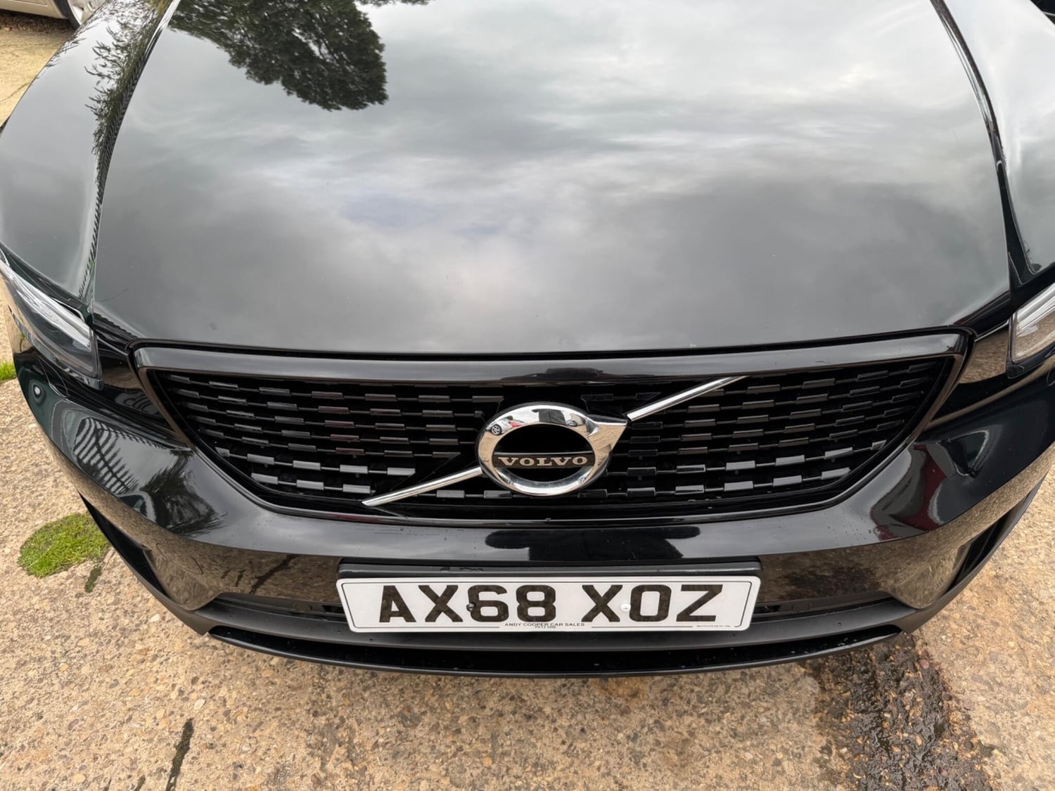 Volvo XC40 2019 - Cars