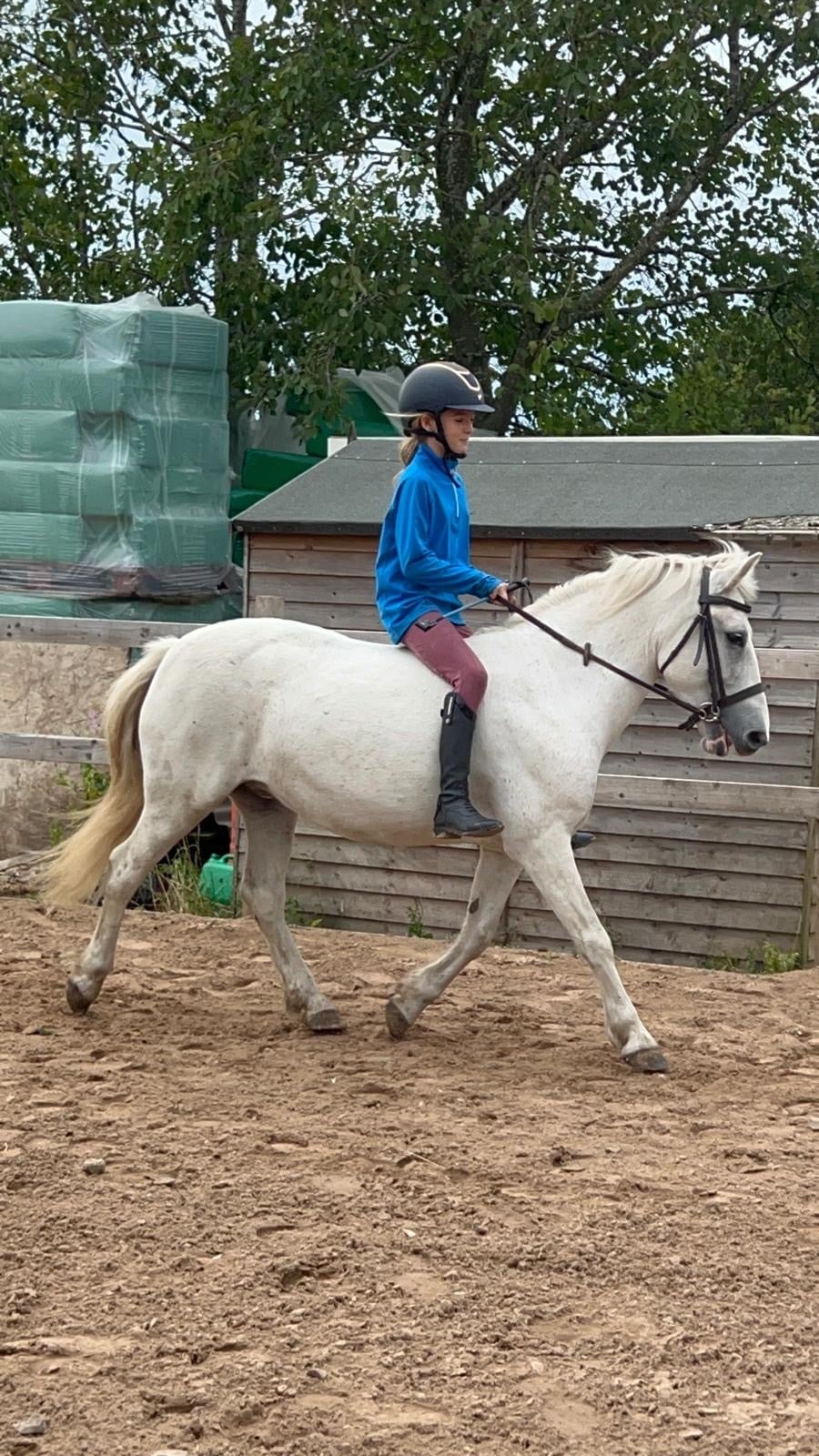 "Adele " White Mare All Rounder