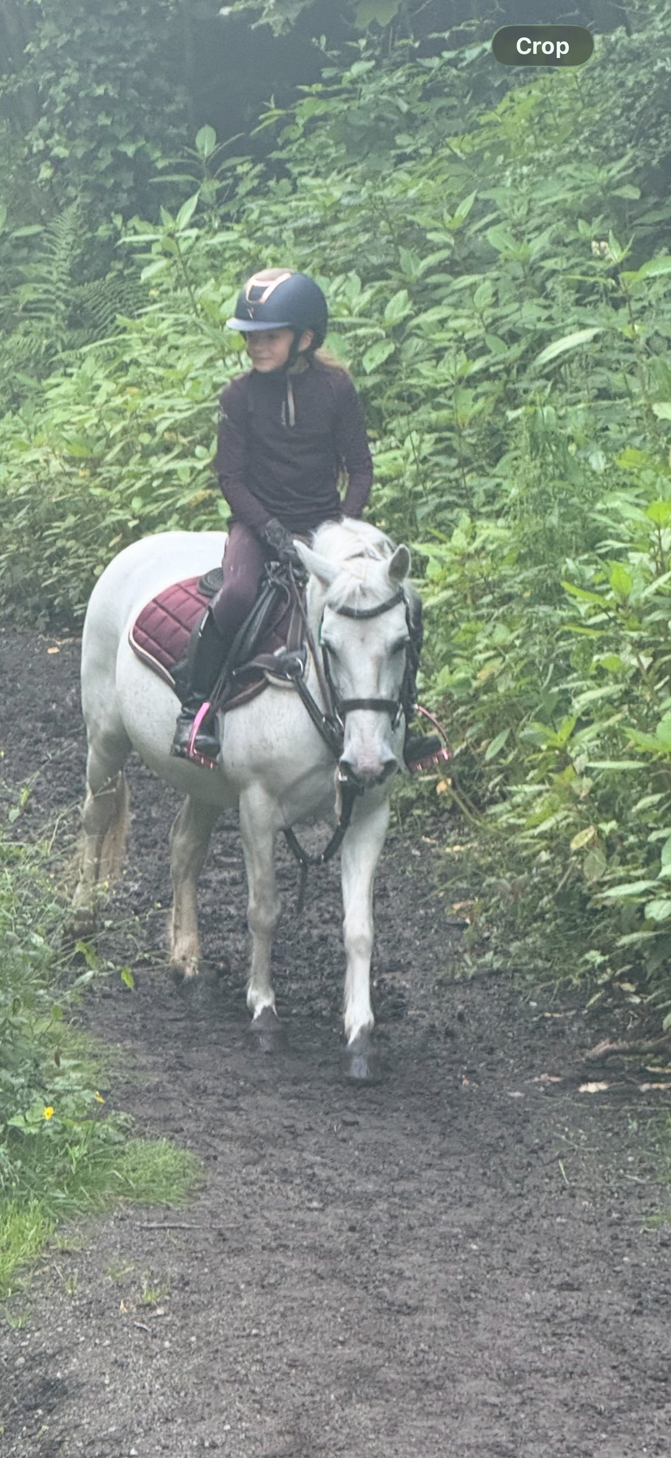 Oldham "Adele " White Mare All Rounder