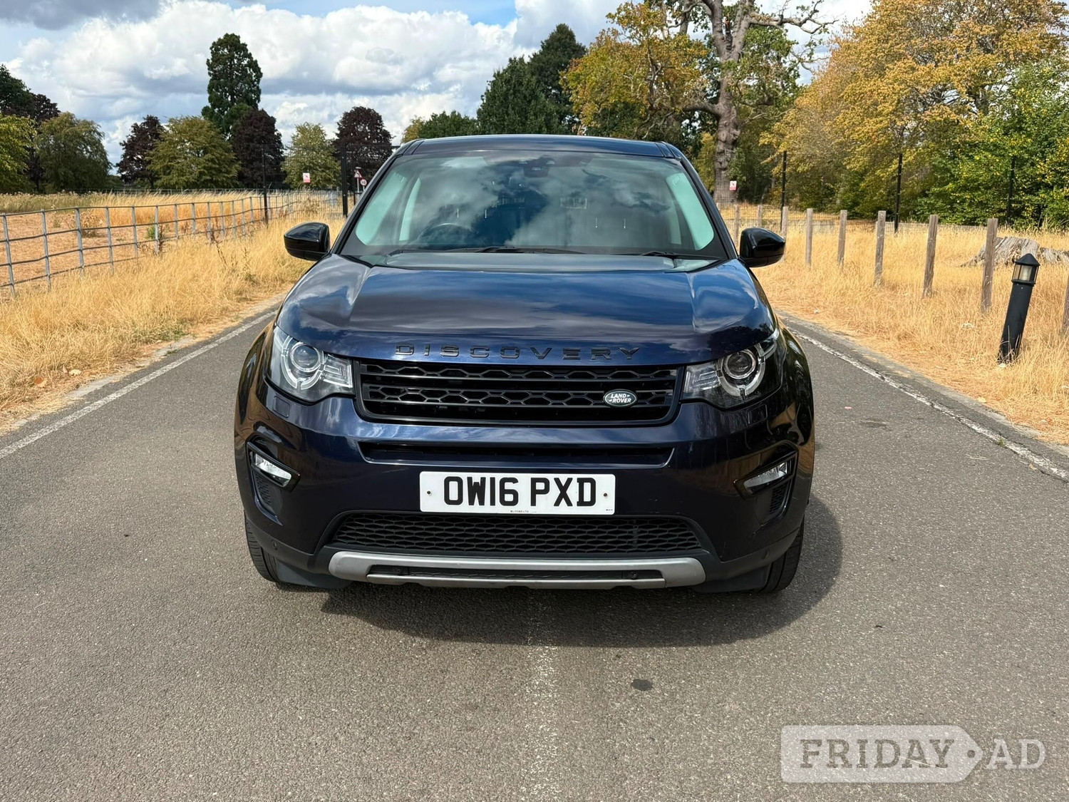 Land Rover Discovery Sport Hayes