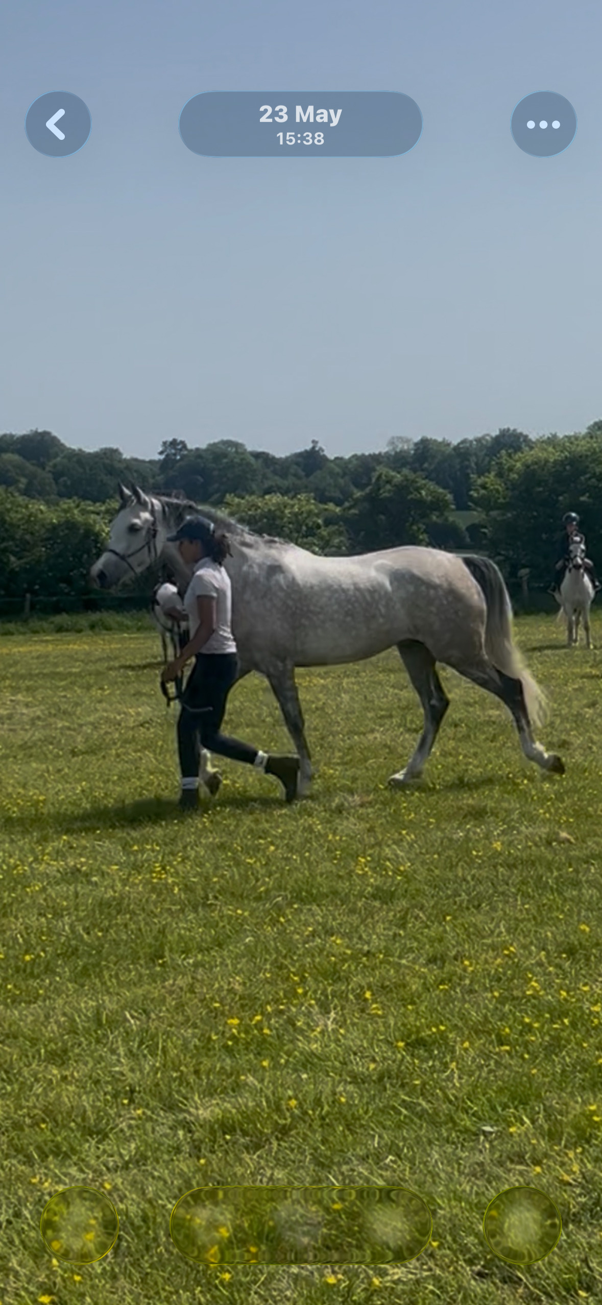 "Flashy ladies prospect" Dapple Grey Mare All Rounder