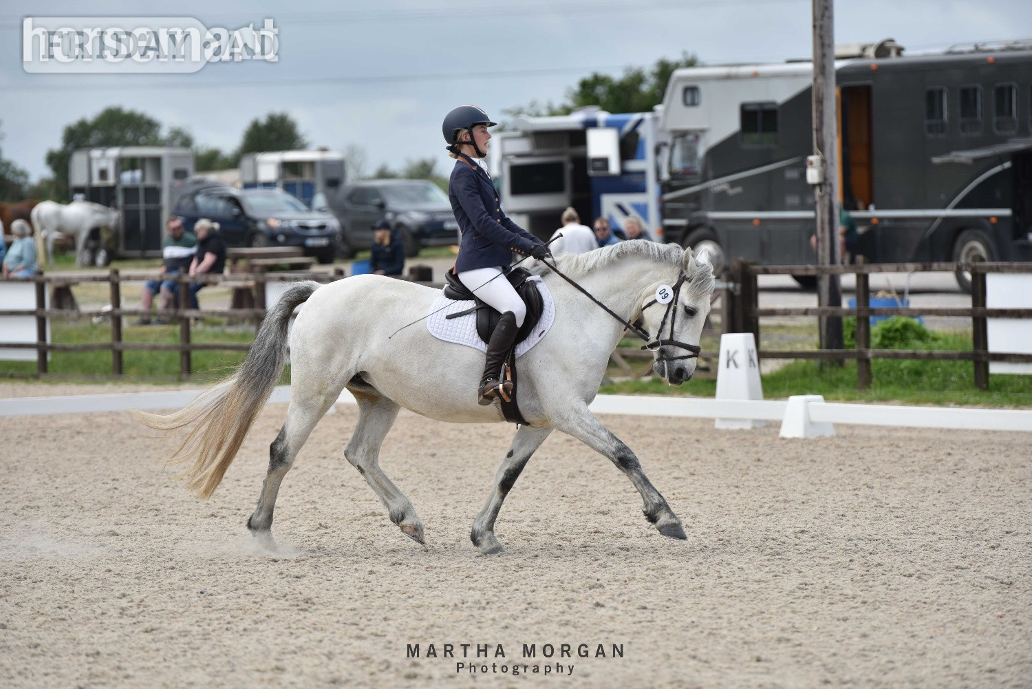 "Pepper" Grey Mare All Rounder