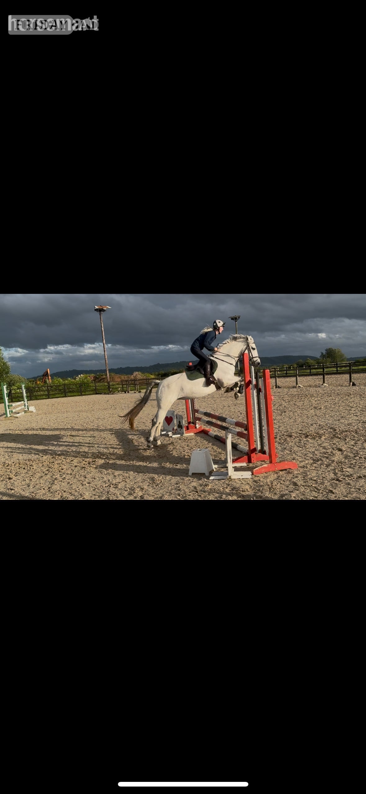 "Pepper" Grey Mare All Rounder - Horses in Burnham-On-Sea