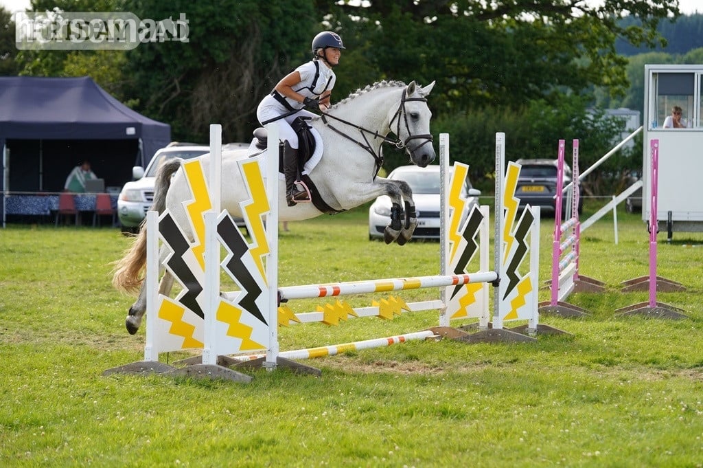 "Pepper" Grey Mare All Rounder