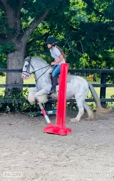 Horley "Penelope" Blue &amp; White Mare All Rounder