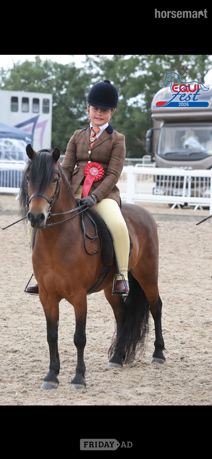 Whitworth "Cayberry coco chanel" Bay Mare Lead Rein/First Ridden Pony