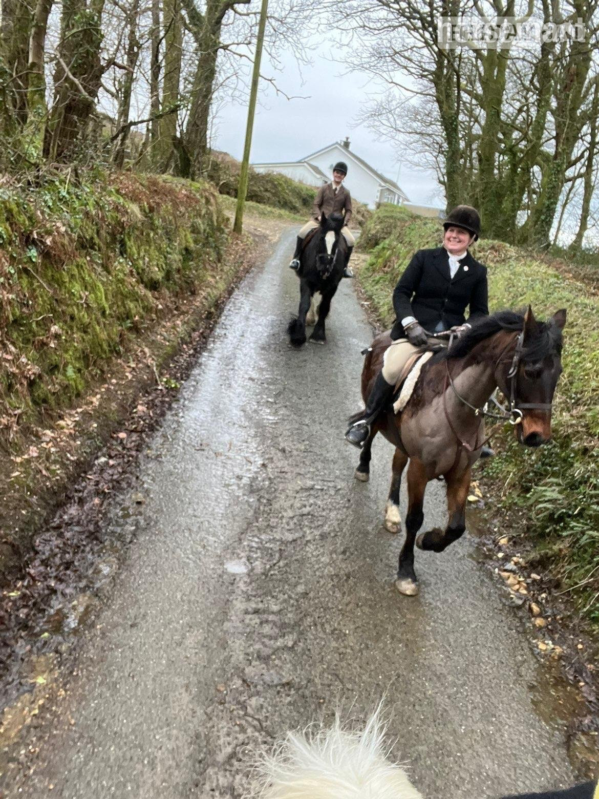 "Jack" Bay Gelding Project Horse