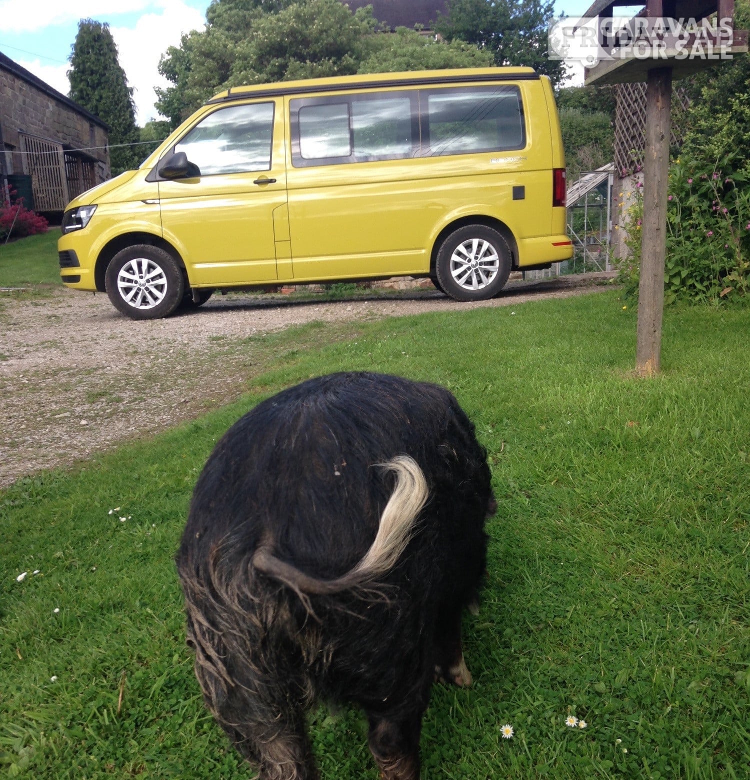 Volkswagen California Beach Wirksworth