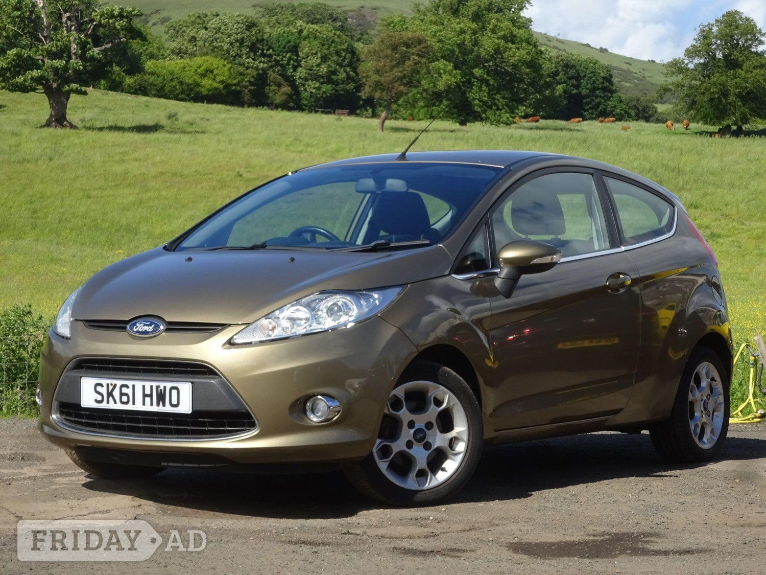 Ford Fiesta Leven