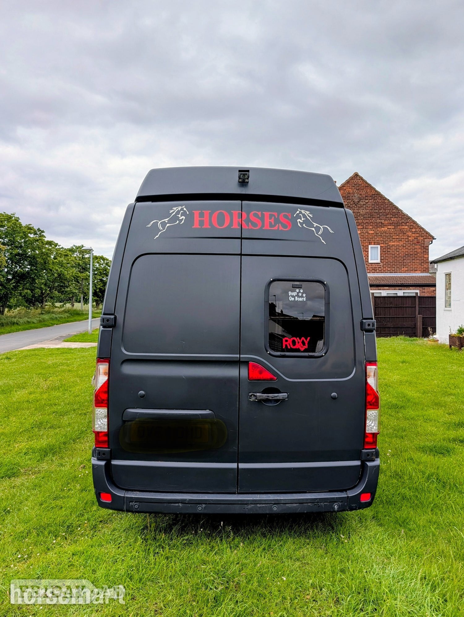 Equi-Sport Vauxhall Movano  Vauxhall Horsebox - Trailers & Horseboxes in Hull