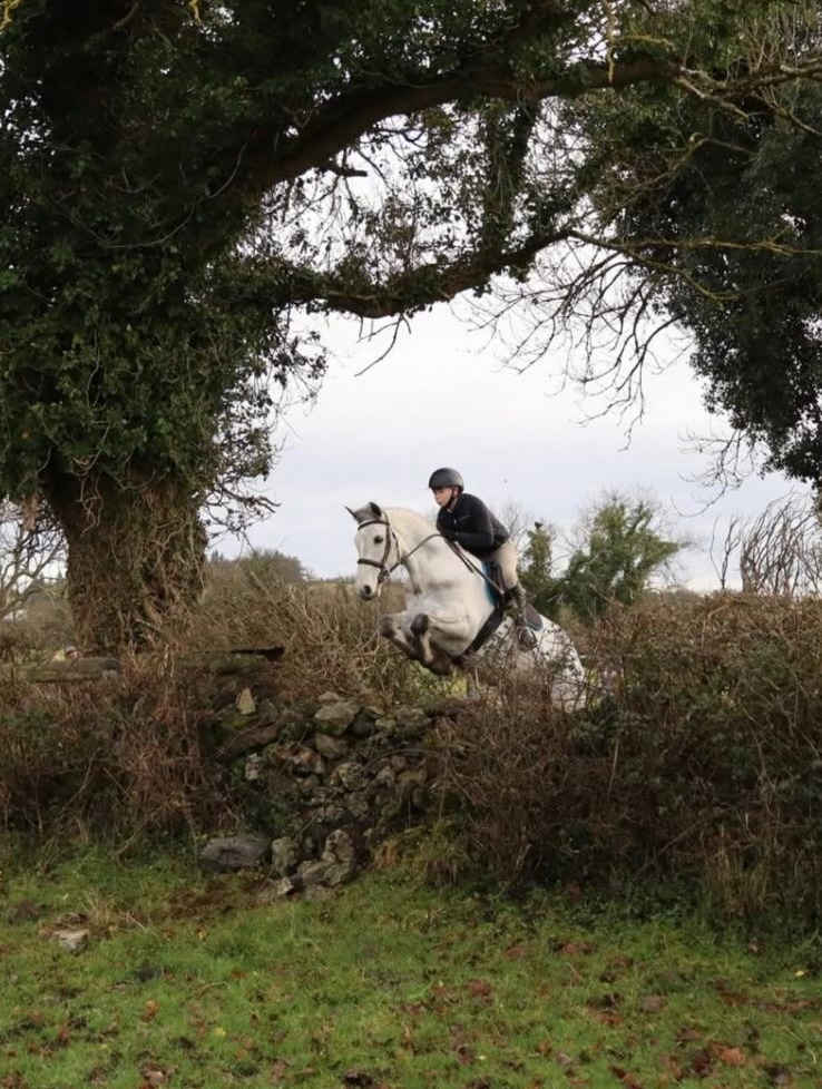 "Glasson paddy" Grey Gelding Riding Club Horse