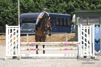 "Striking" Bay Gelding Show Jumper