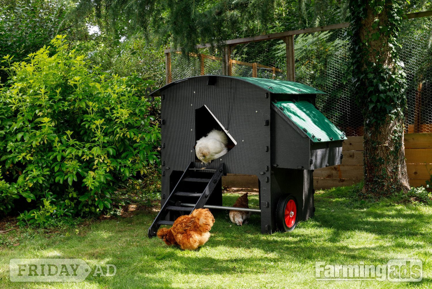 Chicken coops Nestera 100% recycled plastic -  in Leatherhead