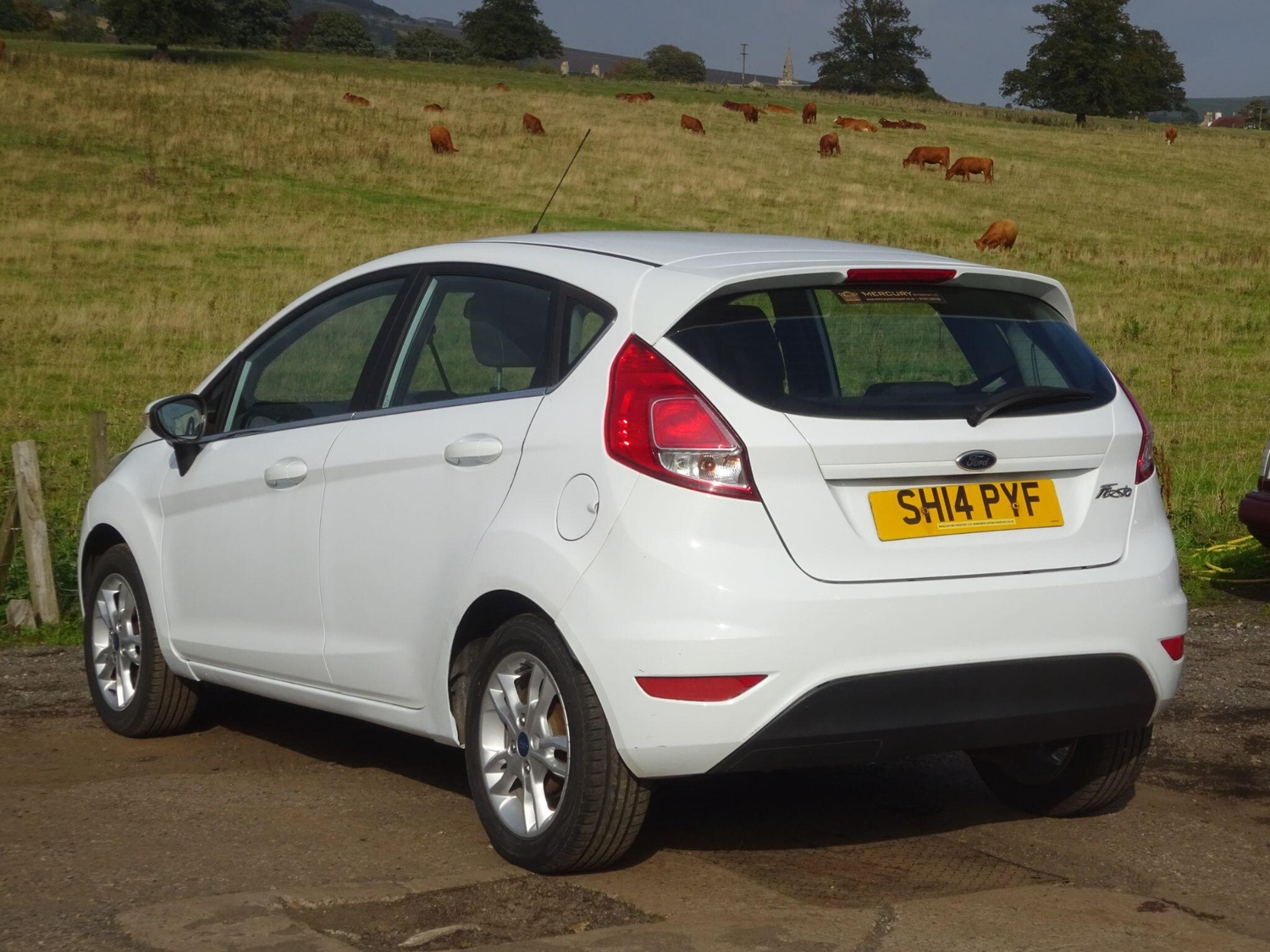[ berth ]Ford Fiesta