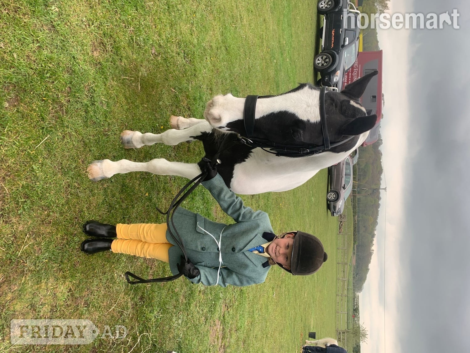 "Matilda " Piebald Mare Lead Rein/First Ridden Pony - Horses in Leeds