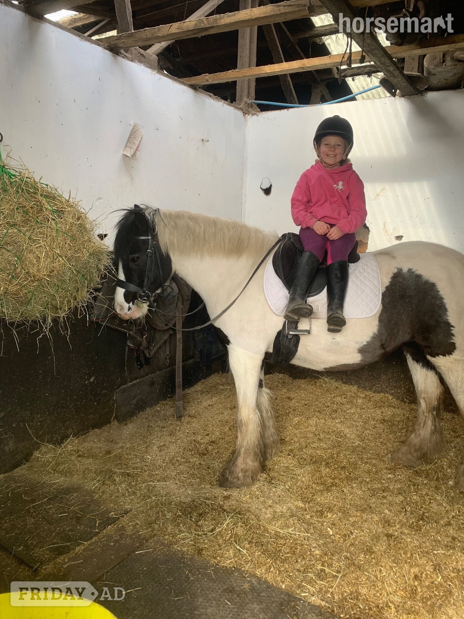 "Matilda " Piebald Mare Lead Rein/First Ridden Pony - Horses