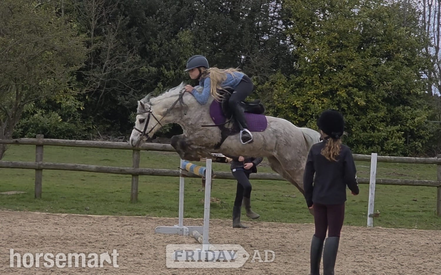 "Rose" Roan Mare All Rounder in Brentwood