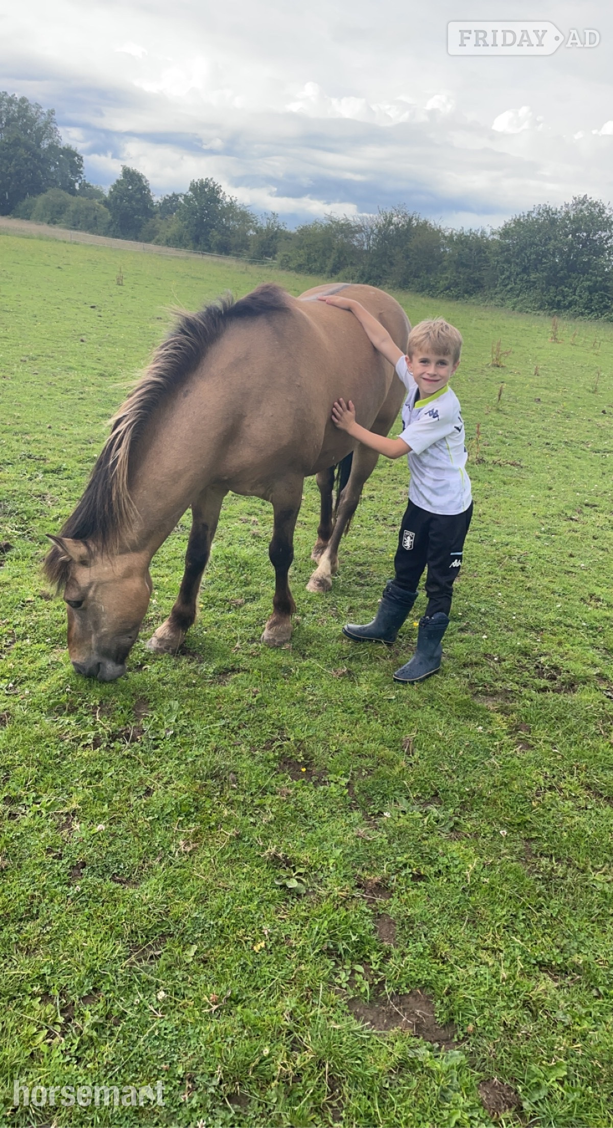 "Milo" Dun Gelding Lead Rein/First Ridden Pony