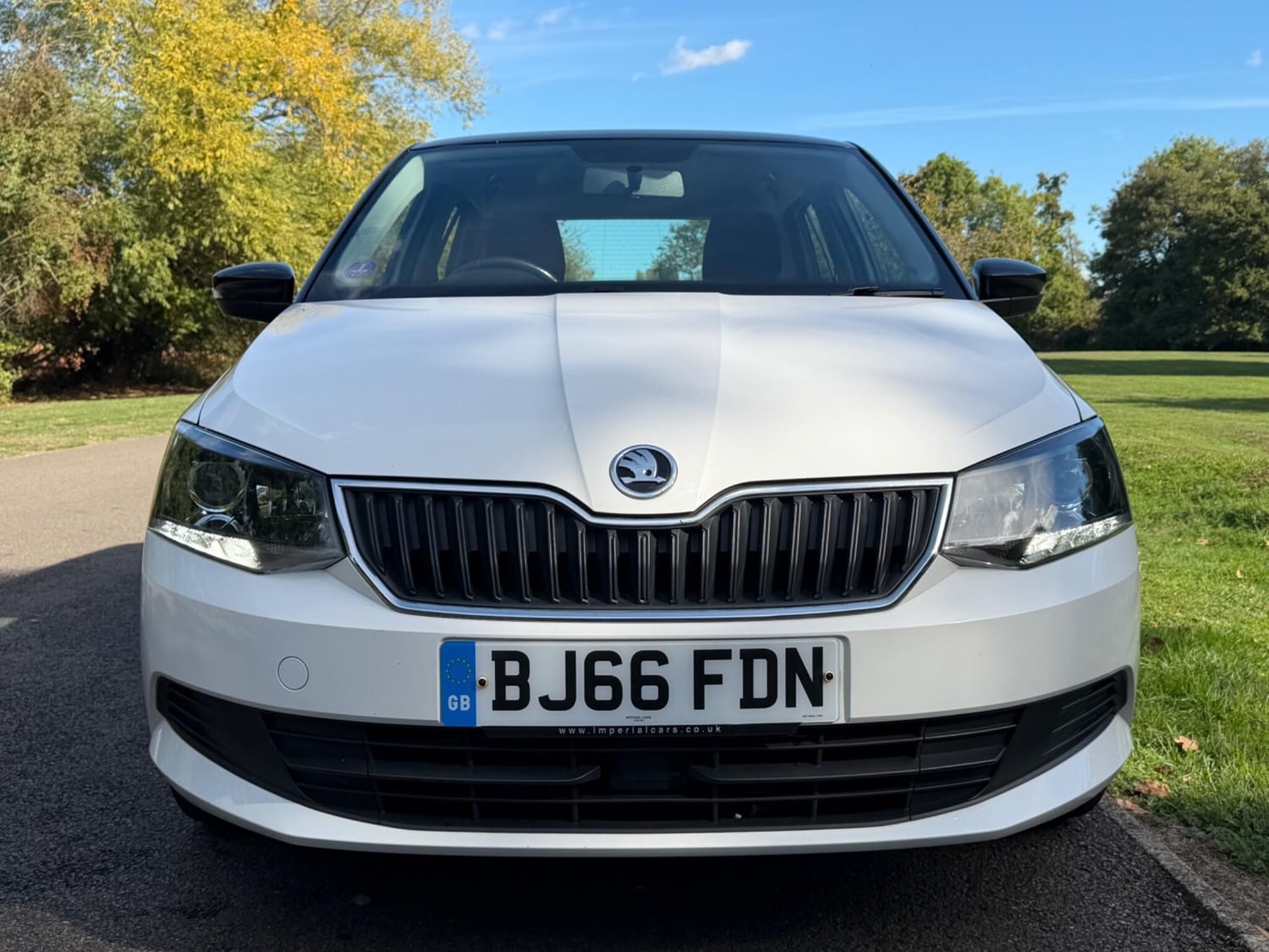 Skoda Fabia Addlestone