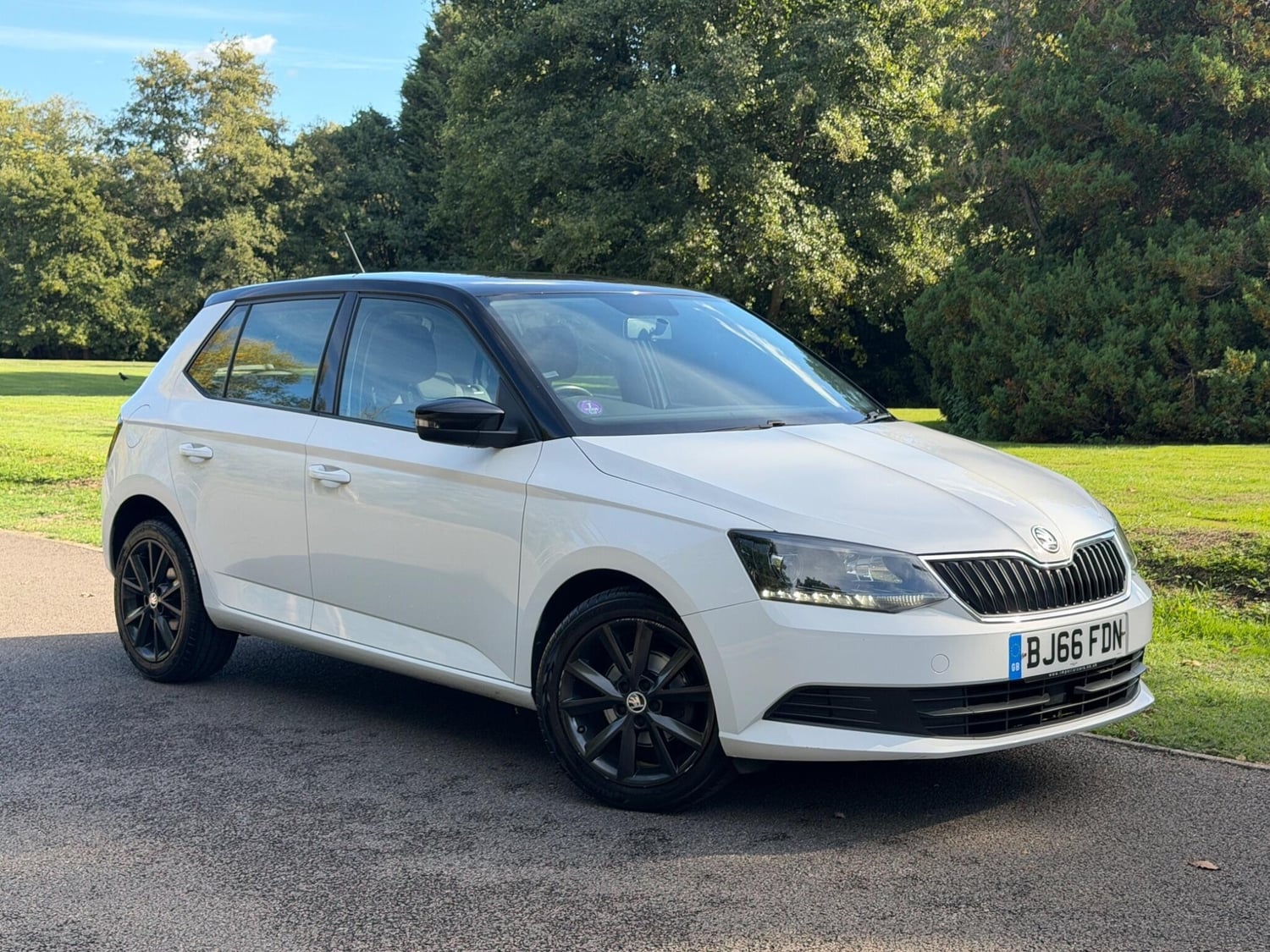 Skoda Fabia 2016 - Cars in Addlestone