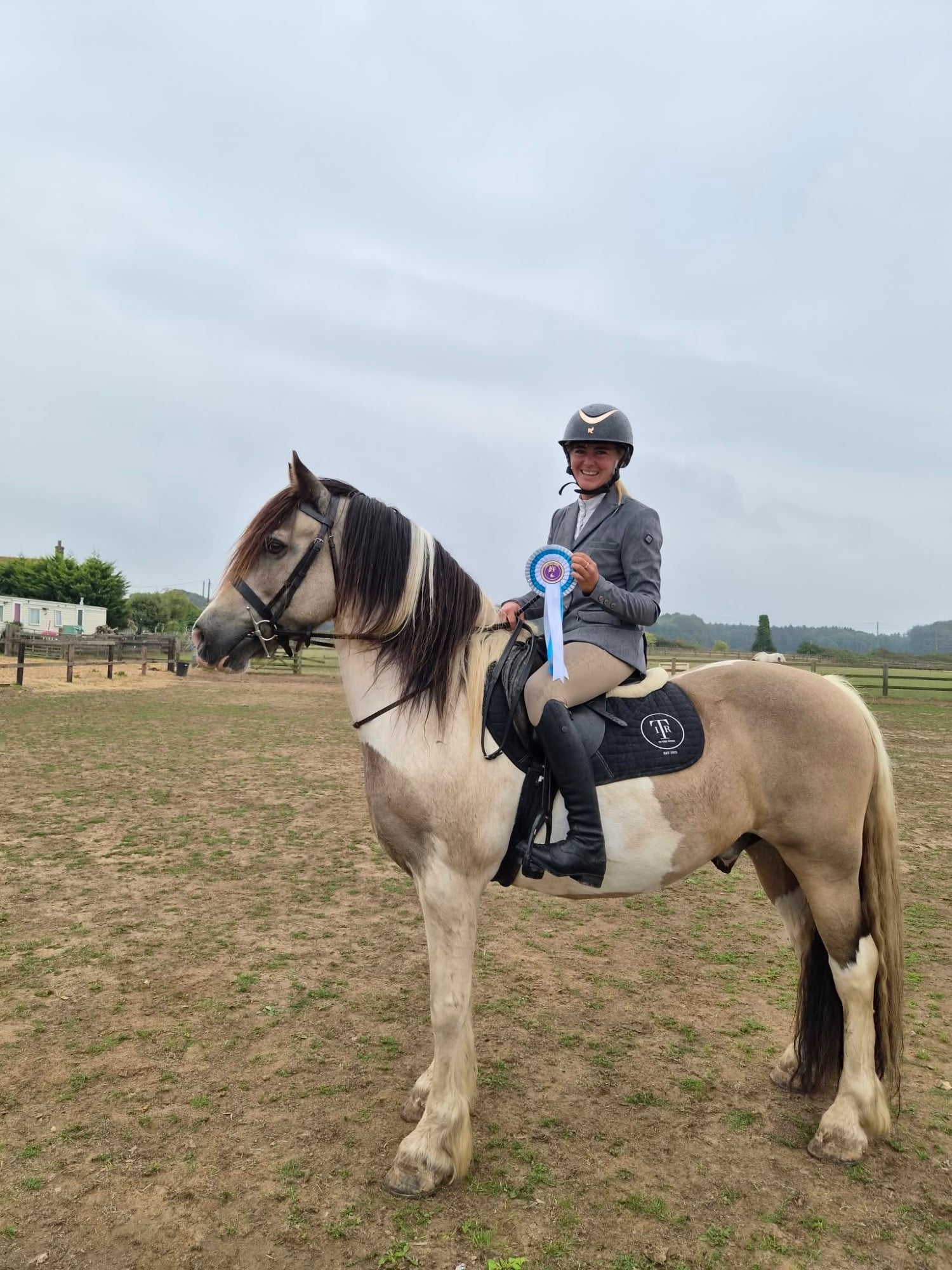 "BRYNITHON CANDY MAN aka Elvis" Tri-Coloured Gelding All Rounder